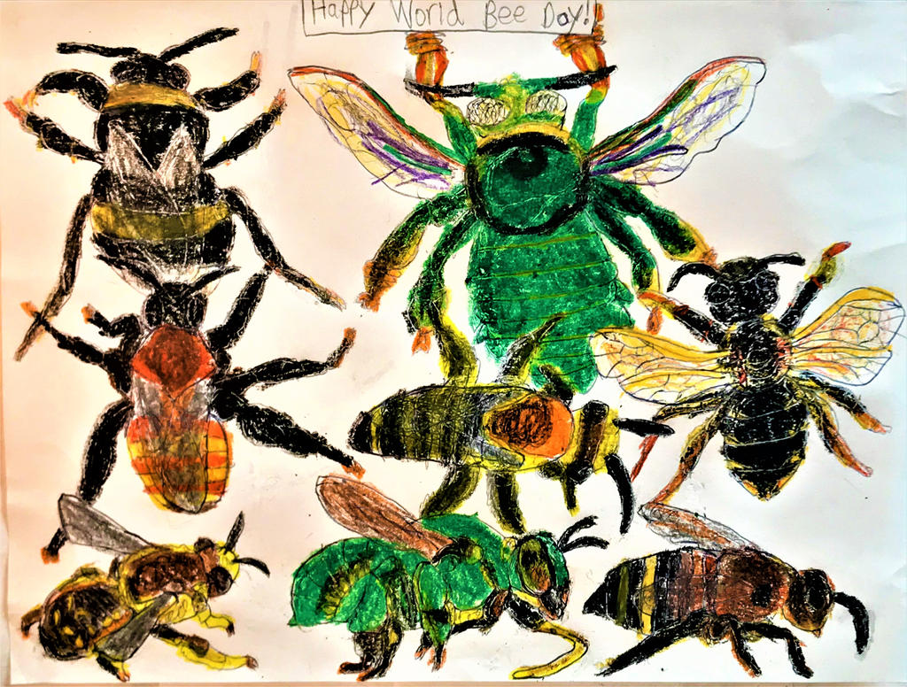 World Bee Day By Sabreleopard On Deviantart World Bee Day By Sabreleopard On Deviantart