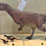 Statues of Psittacosaurus and Young