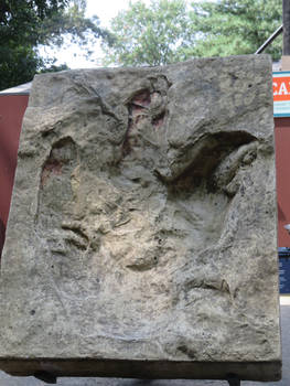 T-Rex Footprint