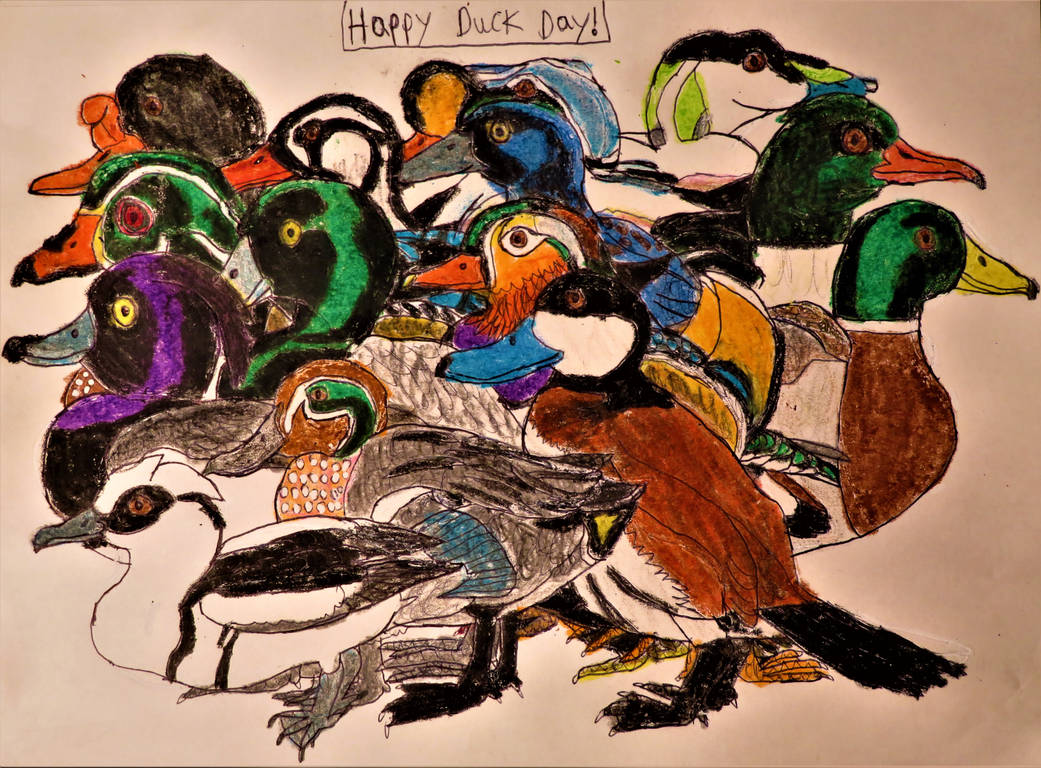Duck Day by Sabreleopard on DeviantArt