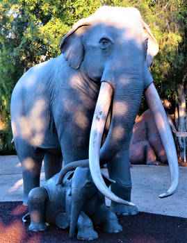 Columbian Mammoths (Cow and Calf)