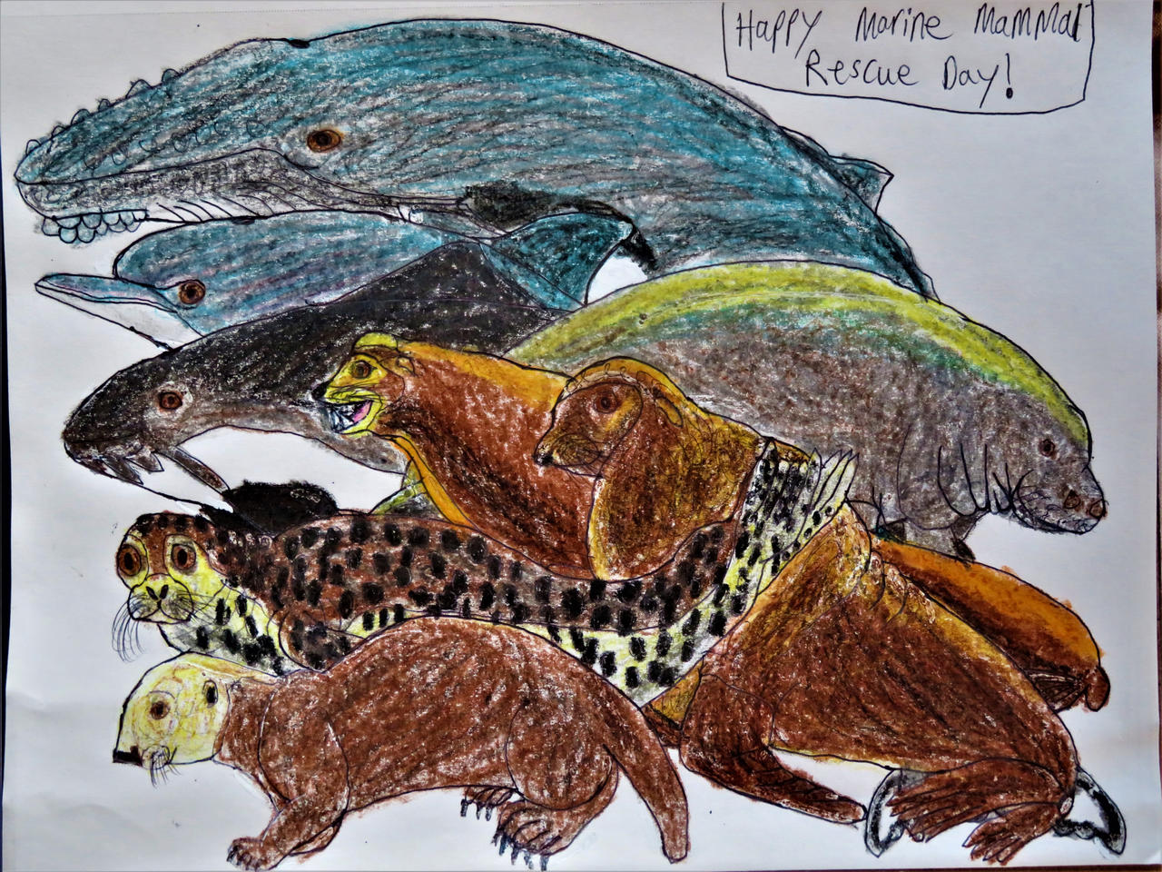Marine Mammal Rescue Day by Sabreleopard on DeviantArt