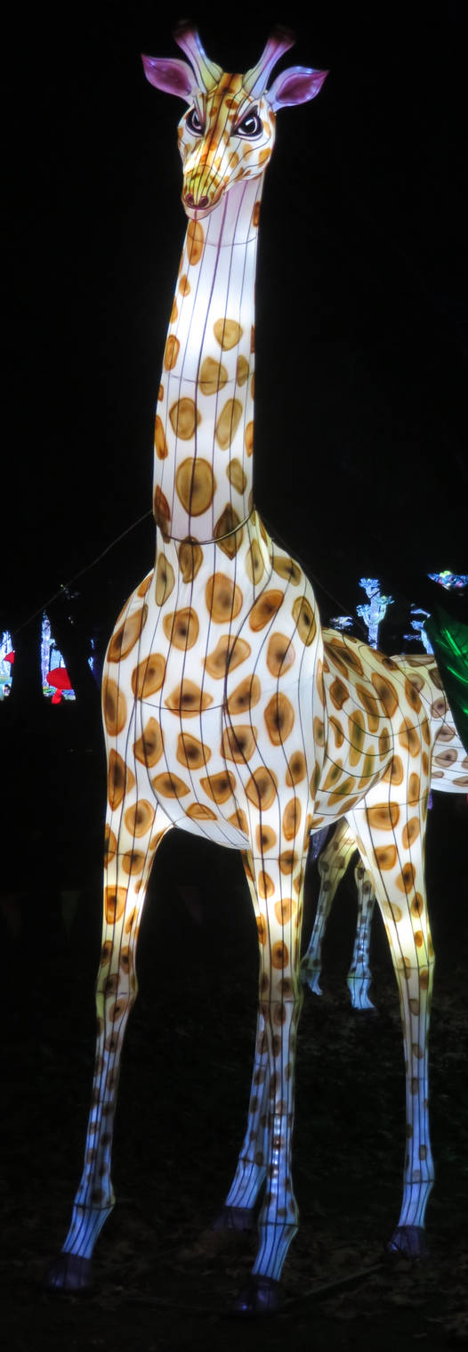 LuminoCity: Giraffe (Two) by Sabreleopard on DeviantArt