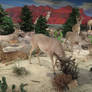 Cabela's: More Desert White Tails