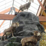 Mount Cabela: Stone's Sheep