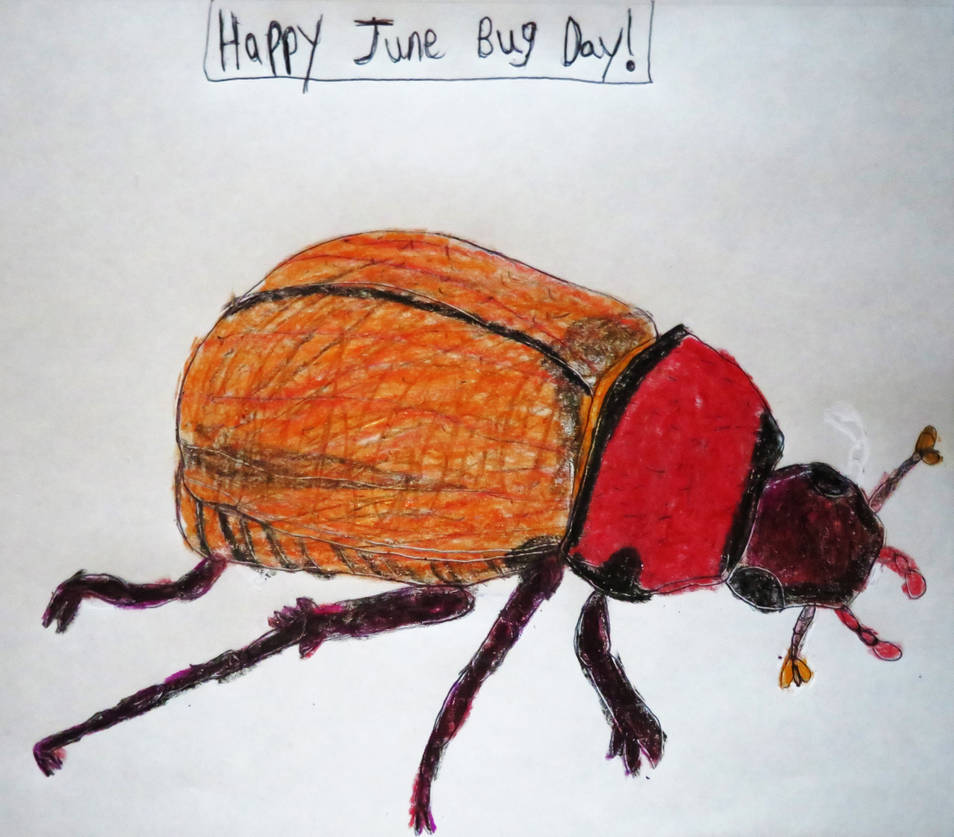 Junebug Poem June Bug Day by Sabreleopard on DeviantArt