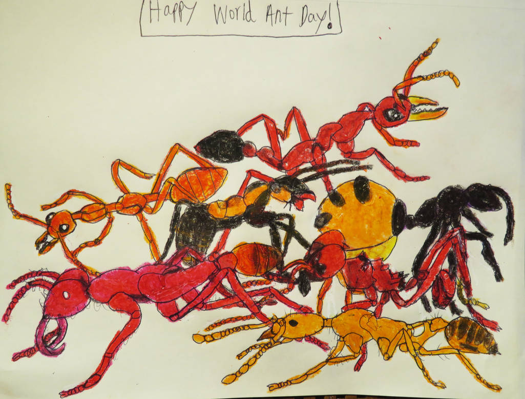 World Ant World Ant Day by Sabreleopard on DeviantArt