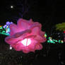 Pink Flower Lantern