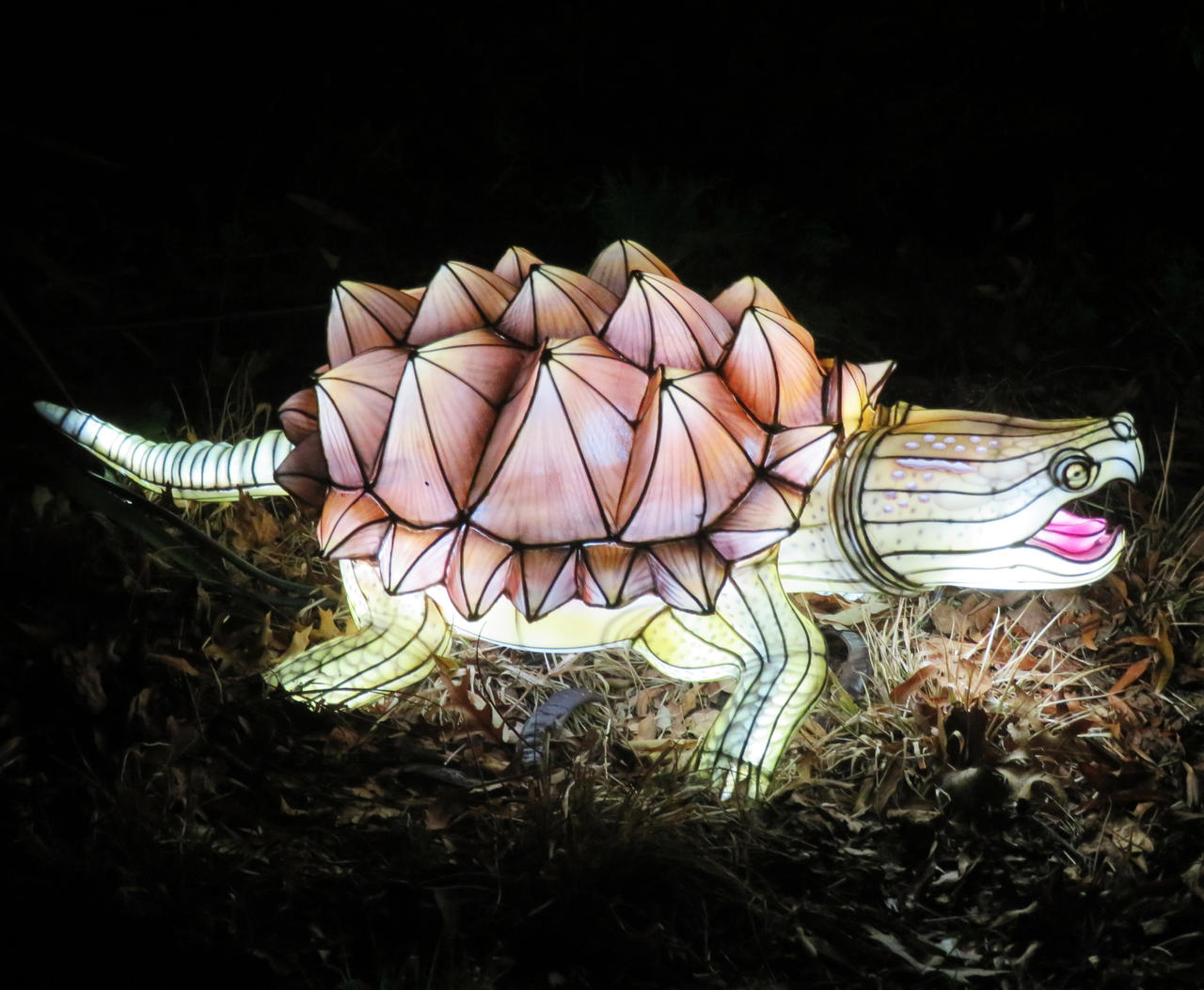 Snapping Turtle Art Alligator Snapping Turtle Color Design Painting