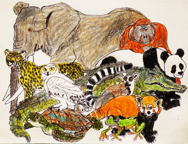 Merry World Wildlife Day