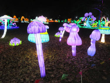 Purple Mushroom Lanterns
