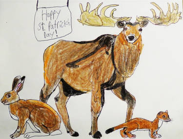 Happy St. Patrick's Day from the Wild of the Irish