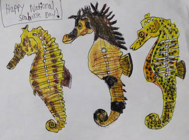 National Seahorse Day