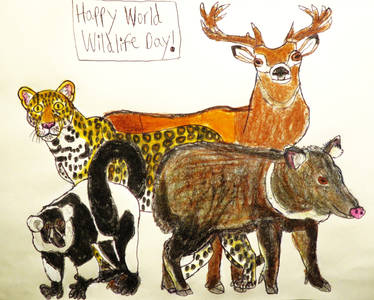 Wildlife Day