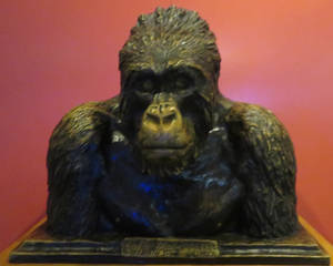 AMNH The Old Man of Mikeno bust sculpture