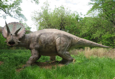Triceratops (New Version)