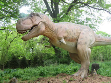 Tyrannosaurus rex (New Version)