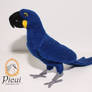 Hyacinth Macaw (Anodorhynchus hyacinthinus)