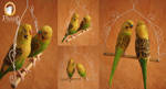 Papua And Fidji - Needle Felted Budgies by PicuiDove