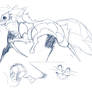 Shrimp creature thingy