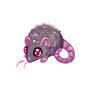 Rat