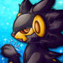 Shiny luxray