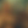 Tina - Queen Of The Jungle In Dire Straits