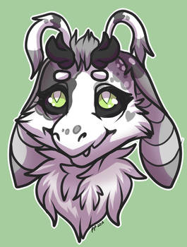 Mochi Headshot