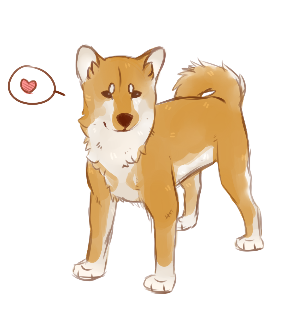 shibe!!!!!