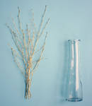 Deconstructed still life by VinaApsara