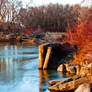 Riverside Autumn