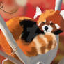 Red Panda - SAI