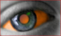 Tangerine Eye