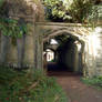 Highgate cemetery