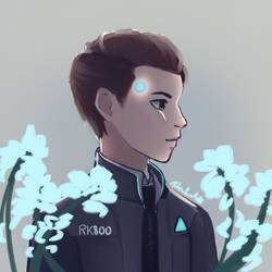 Connor