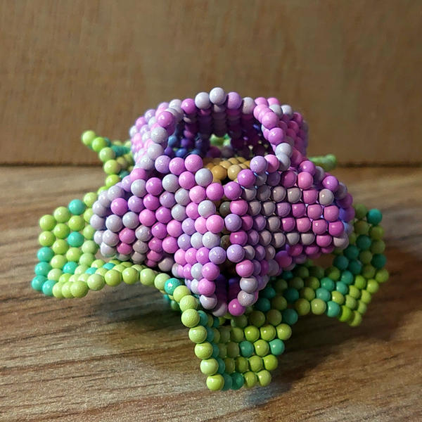 Magnetic Hibiscus