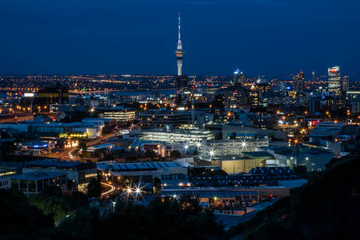 Auckland by night