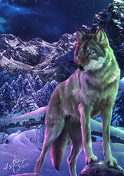 commission: 'The Way of the Wolf' ebook cover