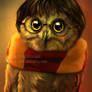 Owly Potter