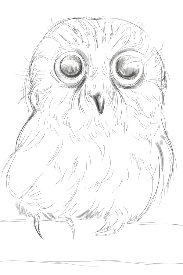 poor owl - process (GIF) by 4steex on DeviantArt