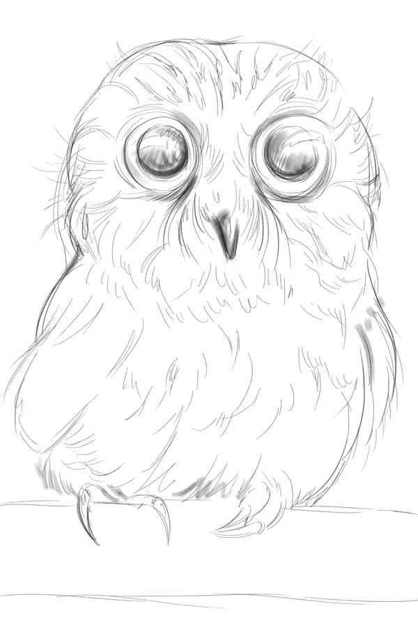poor owl - process (GIF) by 4steex on DeviantArt poor owl - process (GIF) by 4steex on DeviantArt