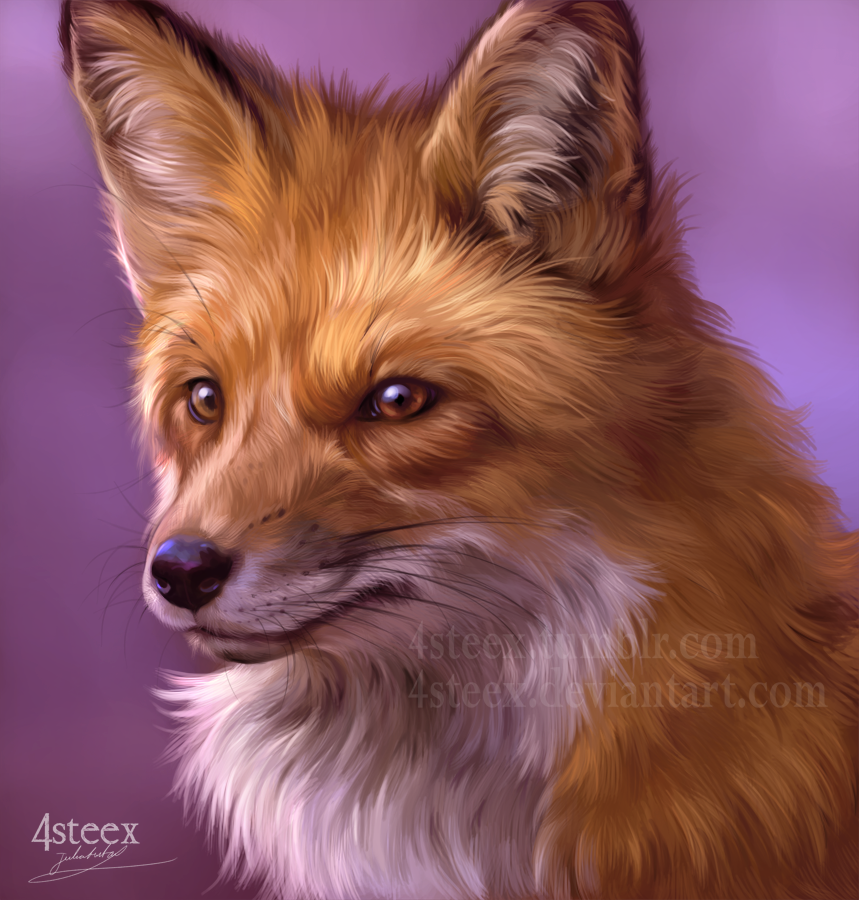 foxy fox - a quick study