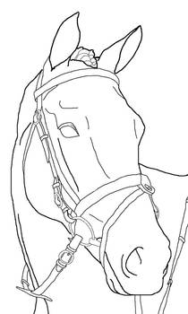 Horse lineart free to use