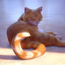 My Cat Benji