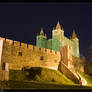 Castelo de Sta Maria da Feira