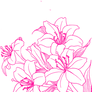 [RESOURCE] Pink Flower