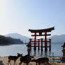 Miyajima