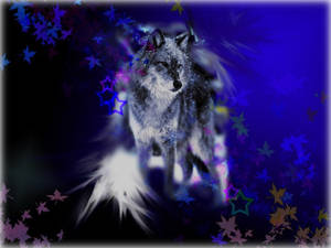 wolf in blue wind