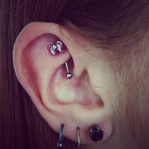 Choose a Captivating Rook Piercing Jewelry and Get by Piercebody