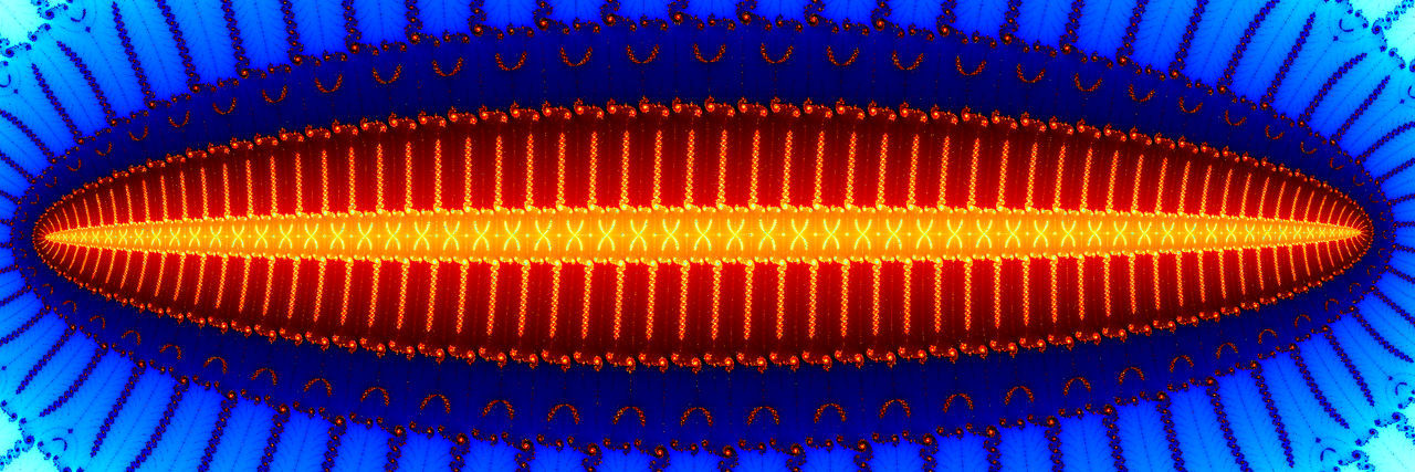 Fractal XXXXXXX.....